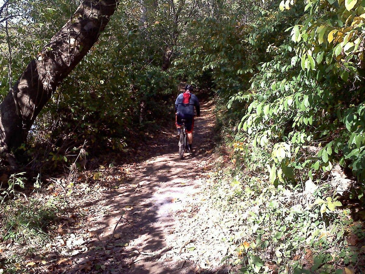 Camper submitted image from Andy Guest/Shenandoah River State Park Campground - 2