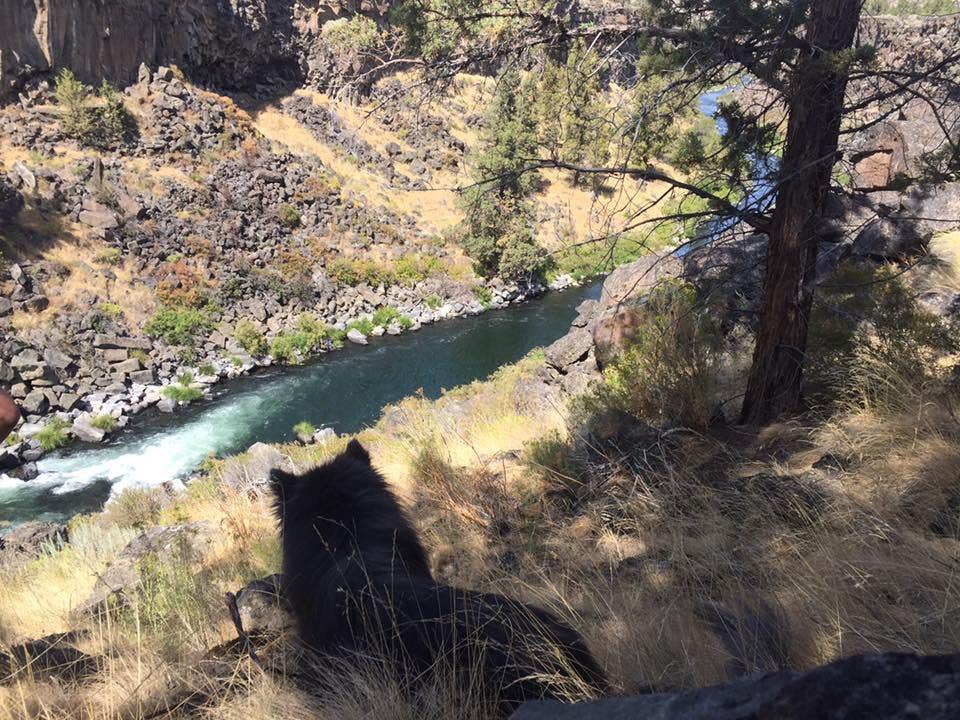 Camper submitted image from Lower Crooked River - BLM - 3