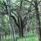 Review photo of Bledsoe Creek State Park Campground by Brittni F., June 8, 2020