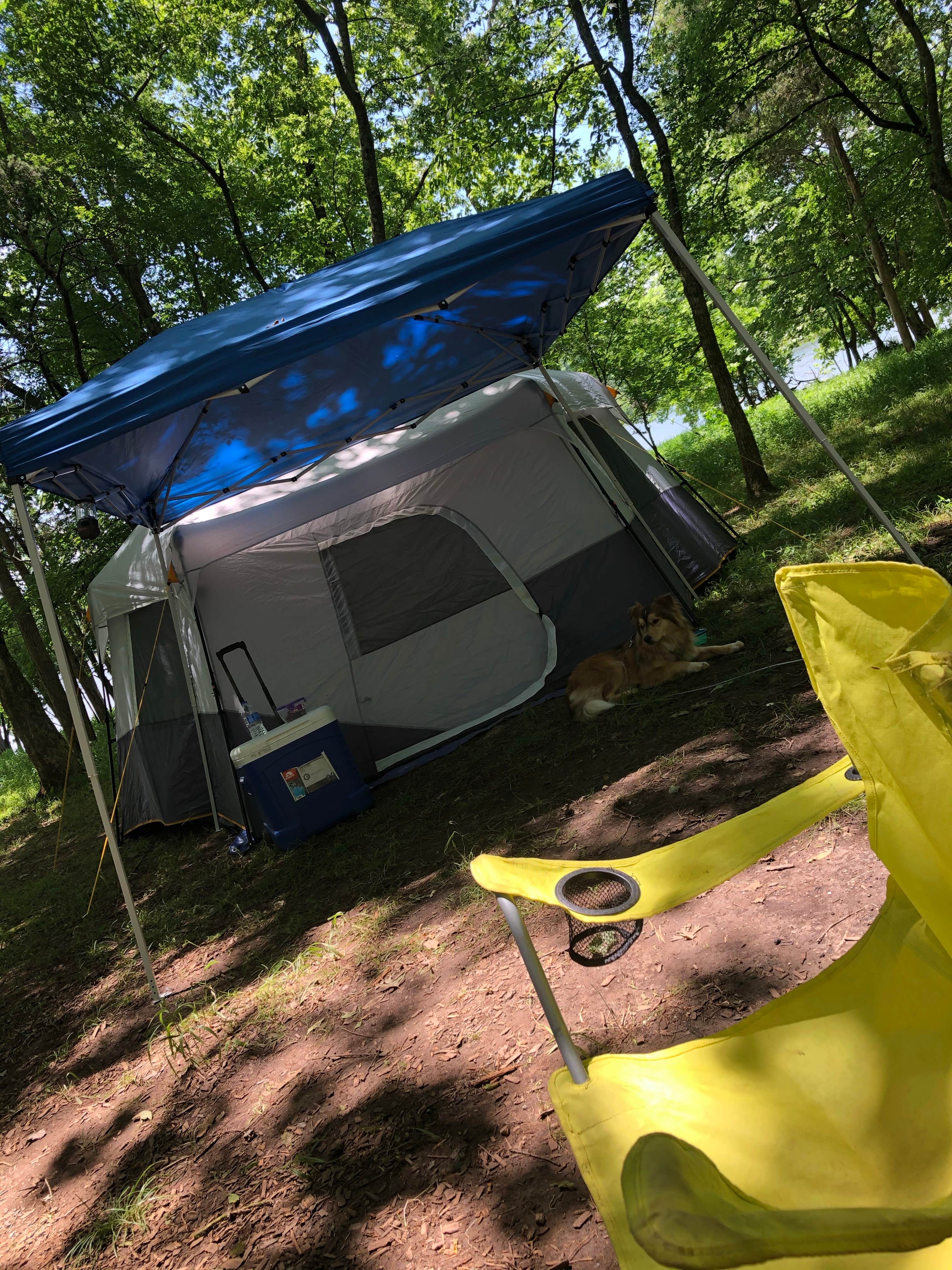 Brittni F.'s photo at Bledsoe Creek State Park Campground near Old Hickory Lake