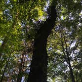 Review photo of Bledsoe Creek State Park Campground by Brittni F., June 8, 2020