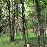 Review photo of Bledsoe Creek State Park Campground by Brittni F., June 8, 2020