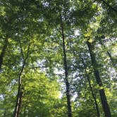 Review photo of Lakefront Campground — Nathan Bedford Forrest State Park by Brittni F., June 8, 2020