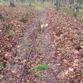 Review photo of Meriwether Lewis Campground by Brittni F., May 18, 2020