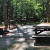 Review photo of Shad  Landing Campground by Tobi G., June 8, 2020