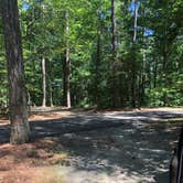 Review photo of Shad Landing Campground by Tobi G., June 8, 2020