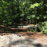 Review photo of Shad Landing Campground by Tobi G., June 8, 2020