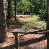 Review photo of Shad Landing Campground by Tobi G., June 8, 2020