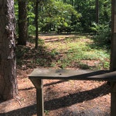 Review photo of Shad  Landing Campground by Tobi G., June 8, 2020