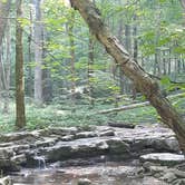 Review photo of Mccormick's Creek State Park Campground by Tiffany T., June 8, 2020