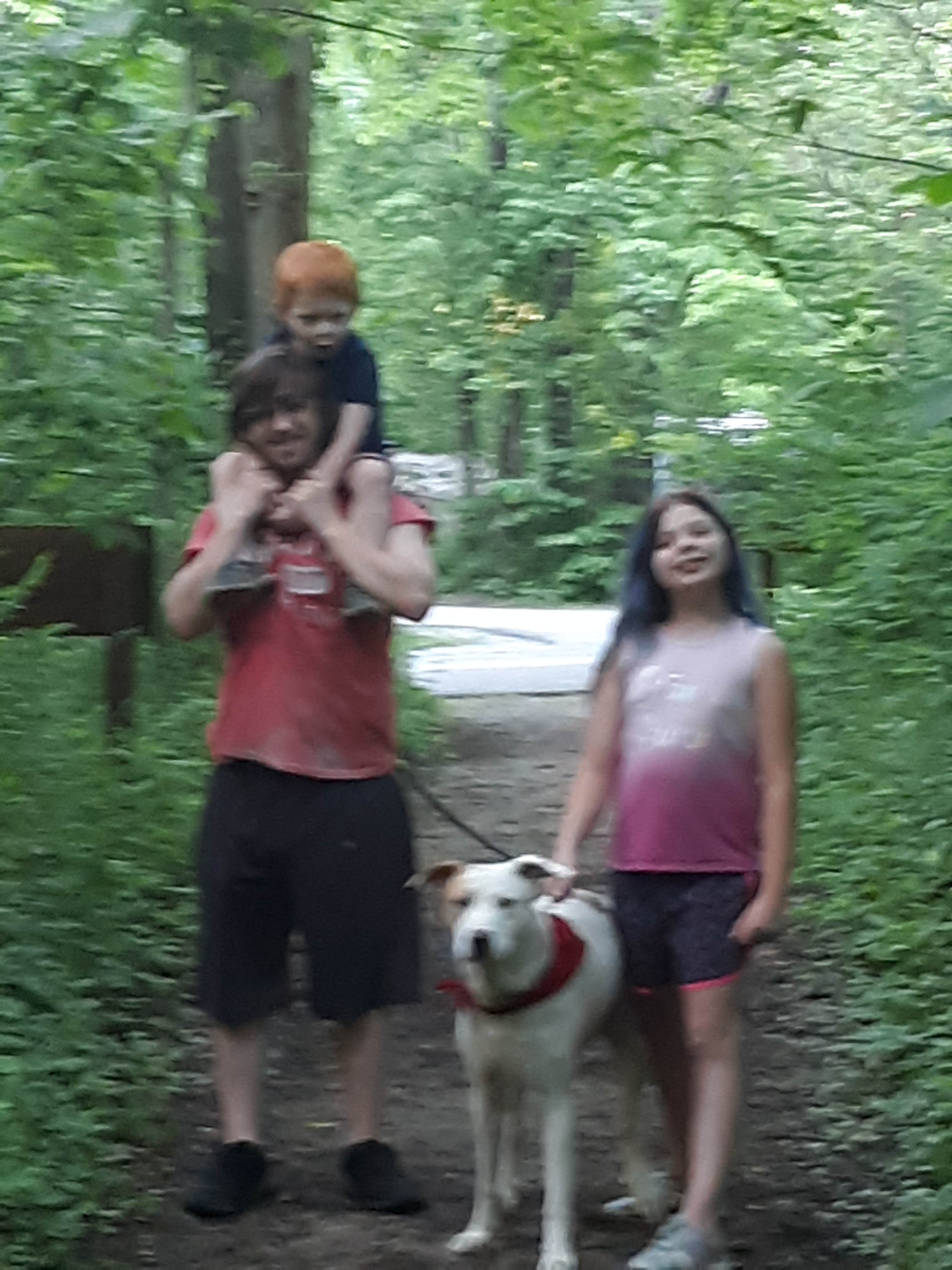 Tiffany T.'s photo of camping with pets at Mccormick's Creek State Park Campground near Smithville, IN