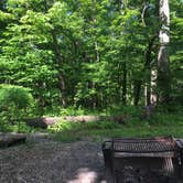 Review photo of Oak Ridge Morgan-Monroe State Forest by Daisy C., June 8, 2020