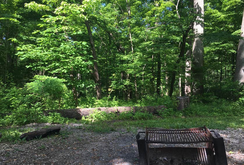 Morgan Ridge Indiana Oak Ridge Camping Area — Morgan-Monroe State Forest | Martinsville, Indiana
