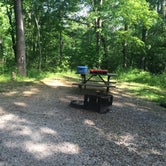 Review photo of Oak Ridge Morgan-Monroe State Forest by Daisy C., June 8, 2020