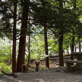 Review photo of Tugaloo State Park Campground by Gina W., June 8, 2020
