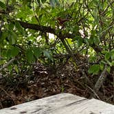 Review photo of North Beach Camp Resort by Gina W., June 8, 2020