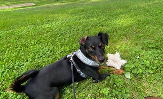 Shannon G.'s photo of camping with pets at Prairie Oasis Campground & Cabins near Columbus, NE