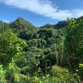 Review photo of El Yunque National Forest Camp Sites by Tim W., June 8, 2020