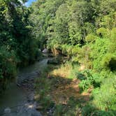 Review photo of El Yunque National Forest Camp Sites by Tim W., June 8, 2020