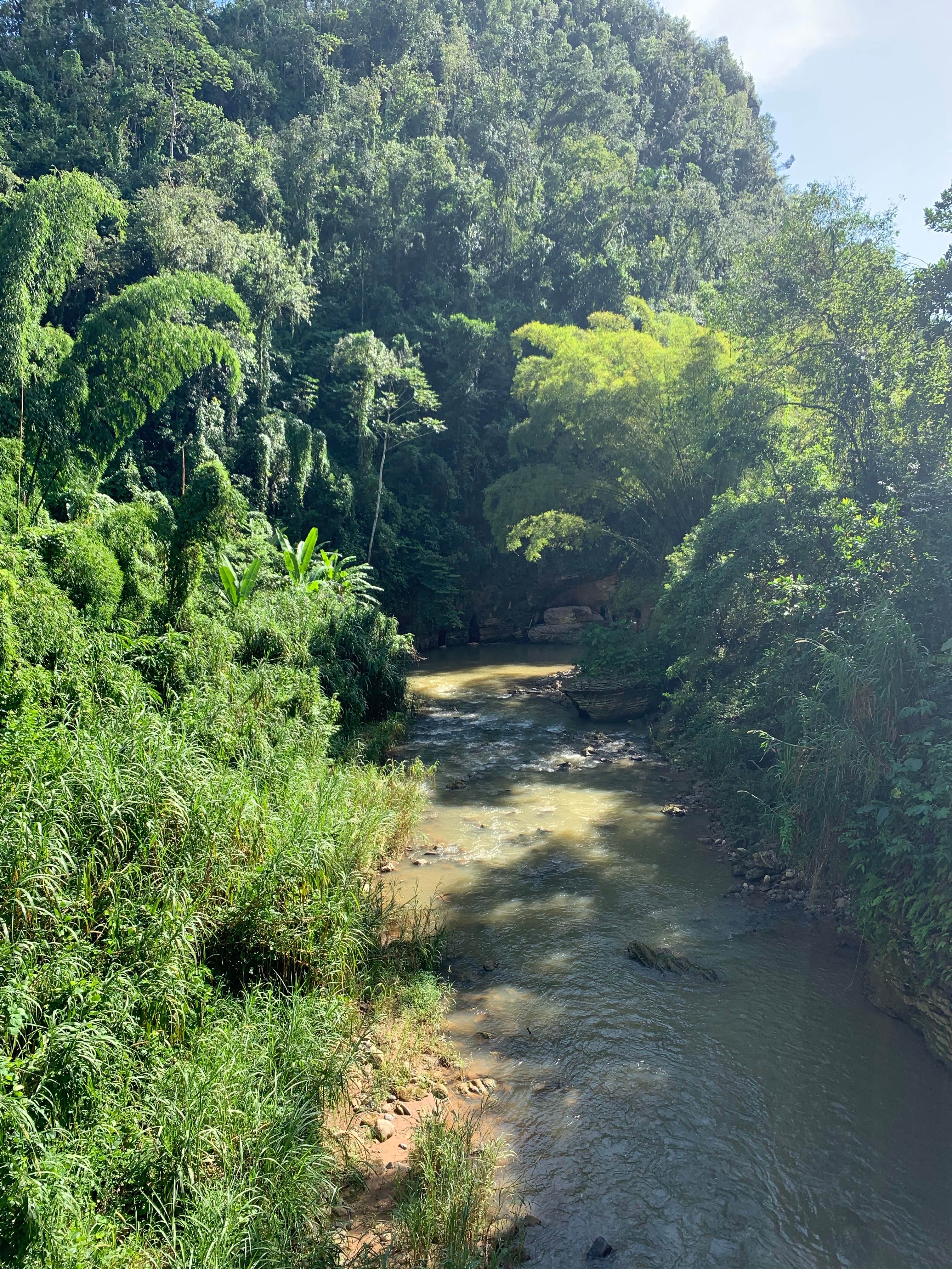 Camper submitted image from El Yunque National Forest Camp Sites - 4