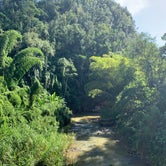 Review photo of El Yunque National Forest Camp Sites by Tim W., June 8, 2020
