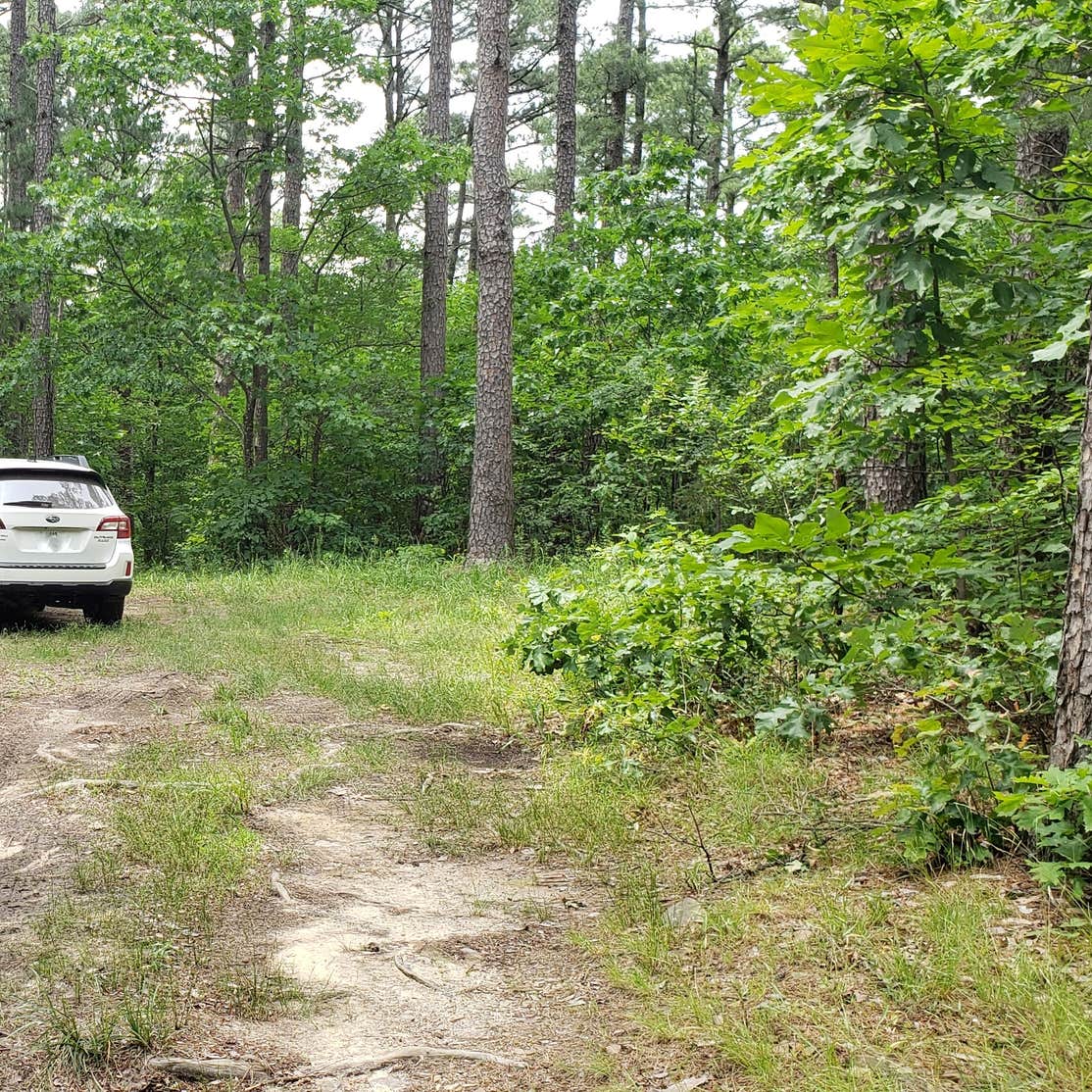 Dead Man Gap Dispersed Campsite Talihina, OK