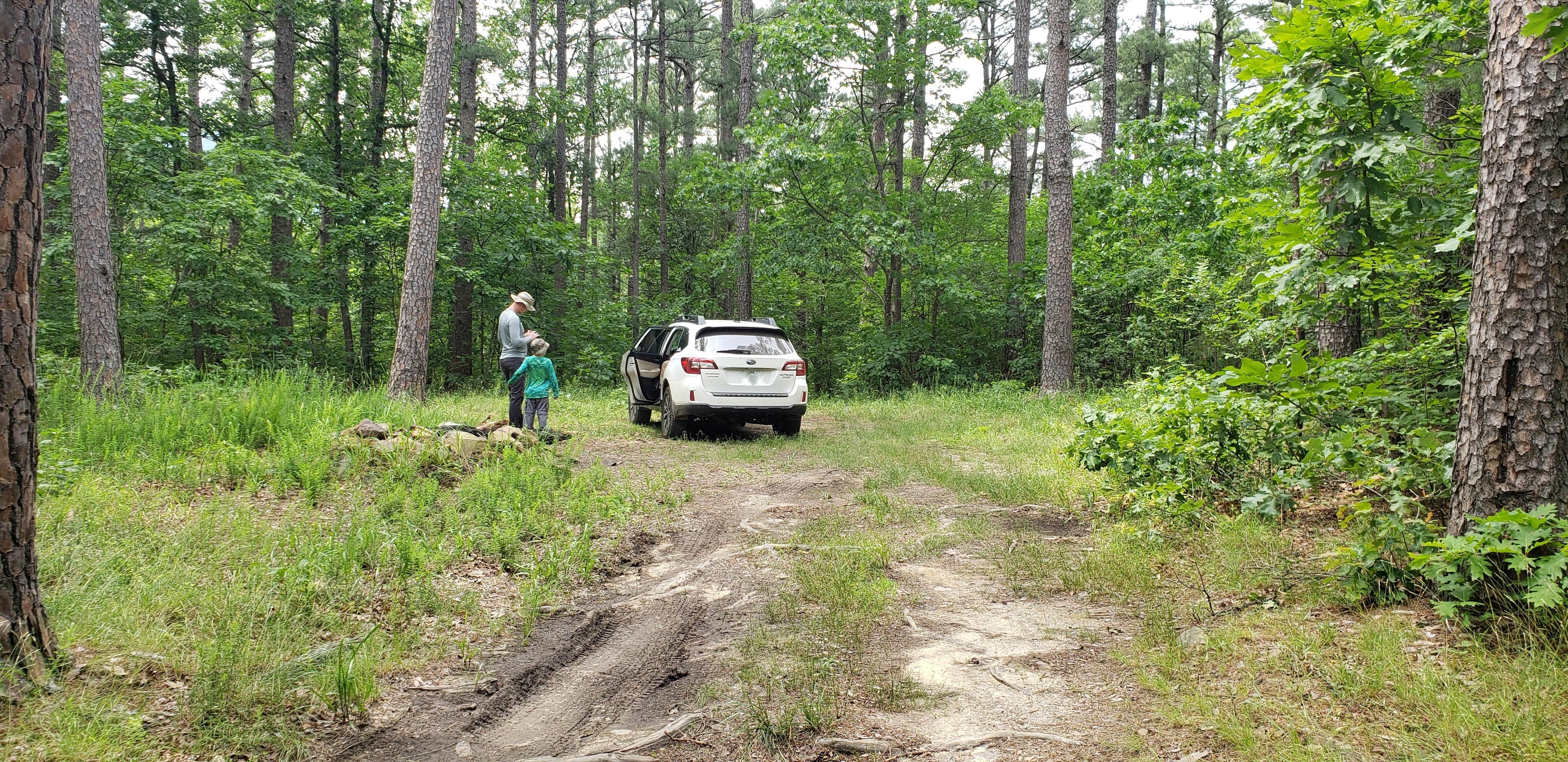 Camper submitted image from Dead Man Gap Dispersed Campsite - 3