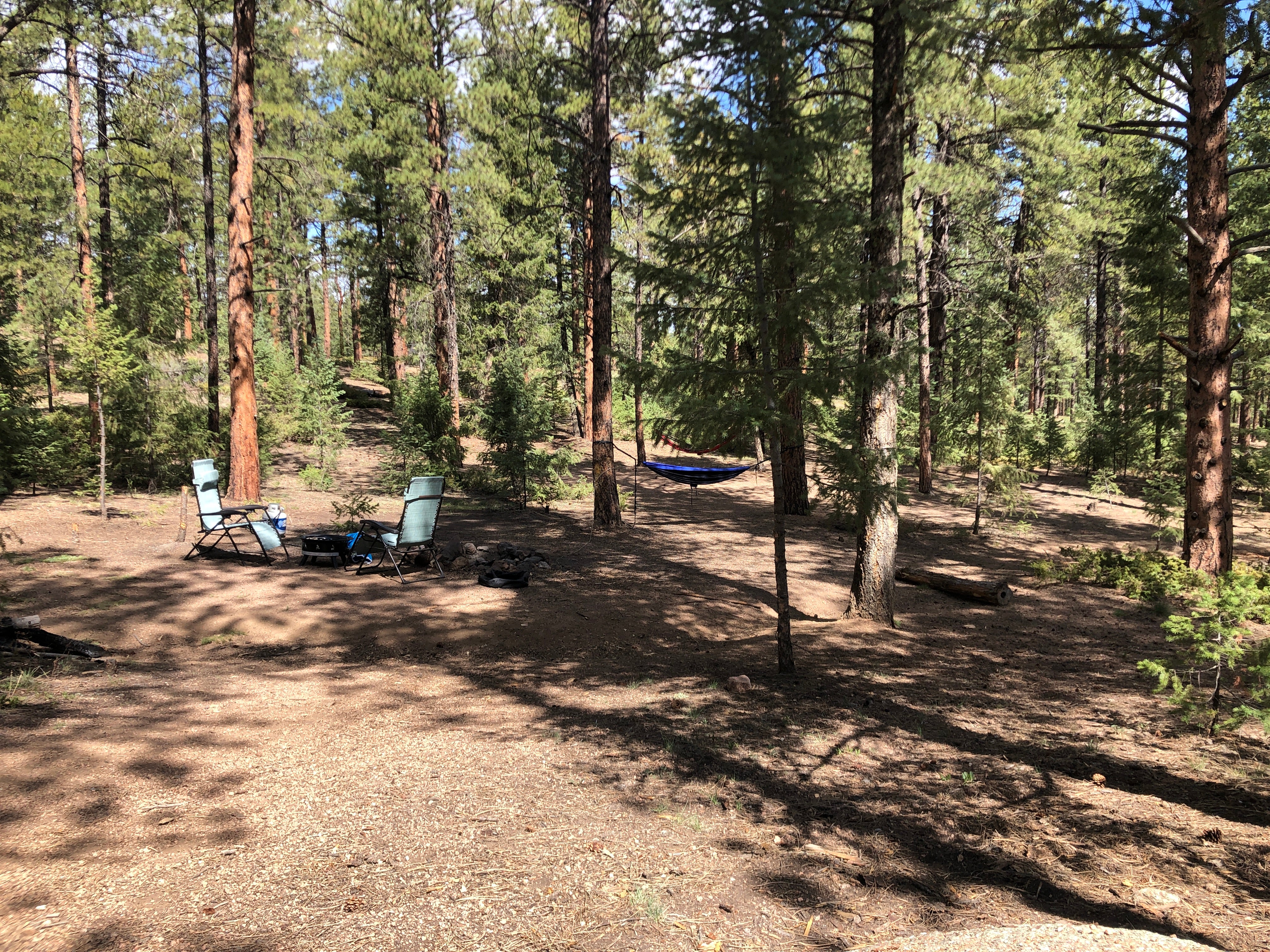 Camper submitted image from Buffalo Creek Recreation Area - 2