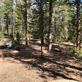 Review photo of Buffalo Creek Recreation Area by Hayley K., June 8, 2020