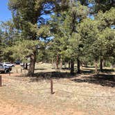 Review photo of Buffalo Creek Recreation Area by Hayley K., June 8, 2020