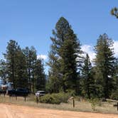 Review photo of Buffalo Creek Recreation Area by Hayley K., June 8, 2020