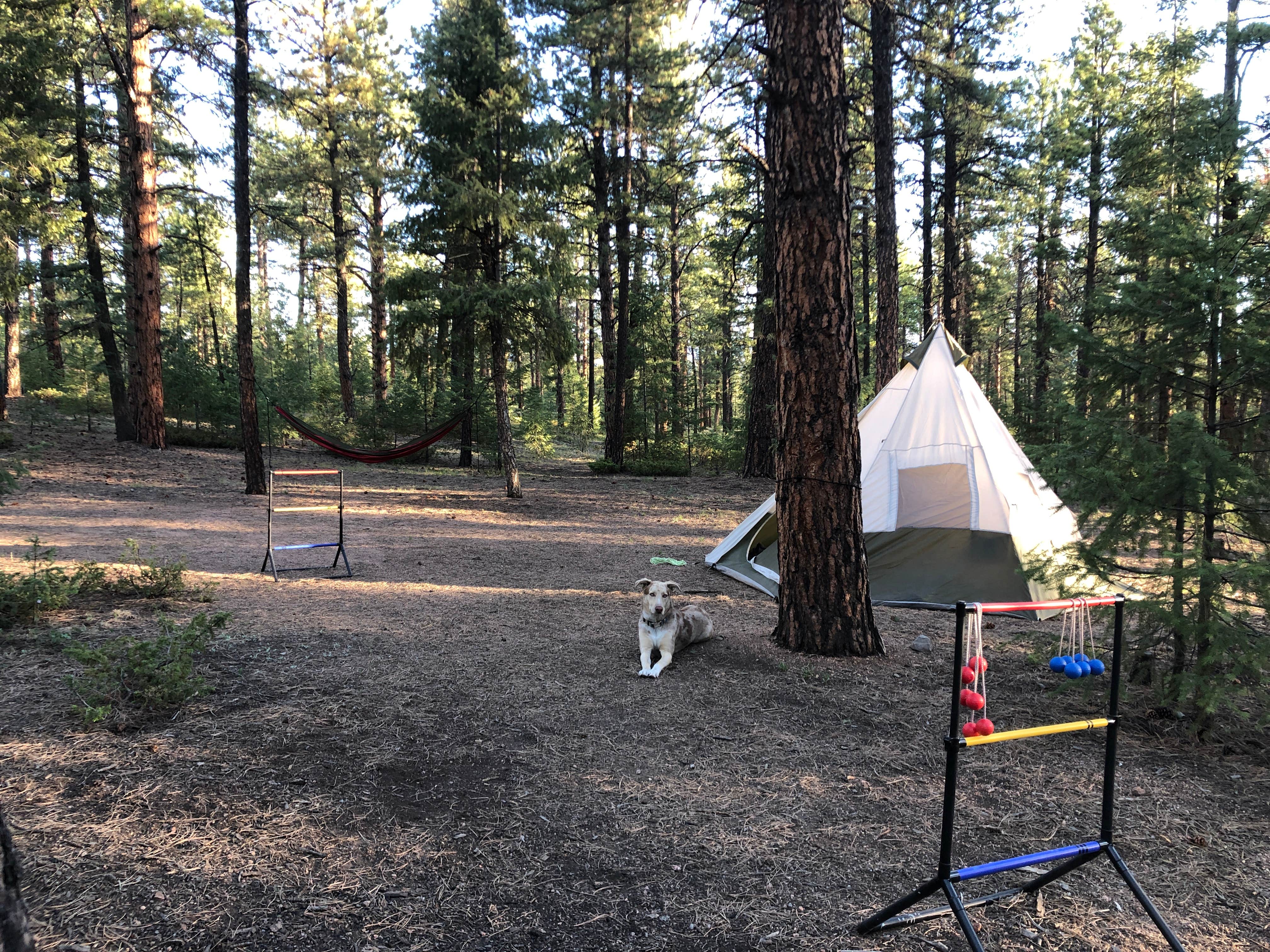 Hayley K.'s photo at Buffalo Creek Recreation Area near Bailey, CO