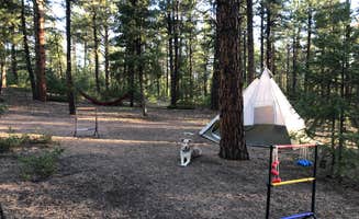 Hayley K.'s photo at Buffalo Creek Recreation Area near Bailey, CO