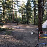 Review photo of Buffalo Creek Recreation Area by Hayley K., June 8, 2020