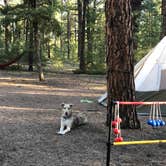 Review photo of Buffalo Creek Recreation Area by Hayley K., June 8, 2020