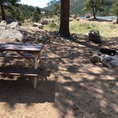 Review photo of Castle Mountain Recreation Area at Wellington Lake by Hayley K., June 8, 2020