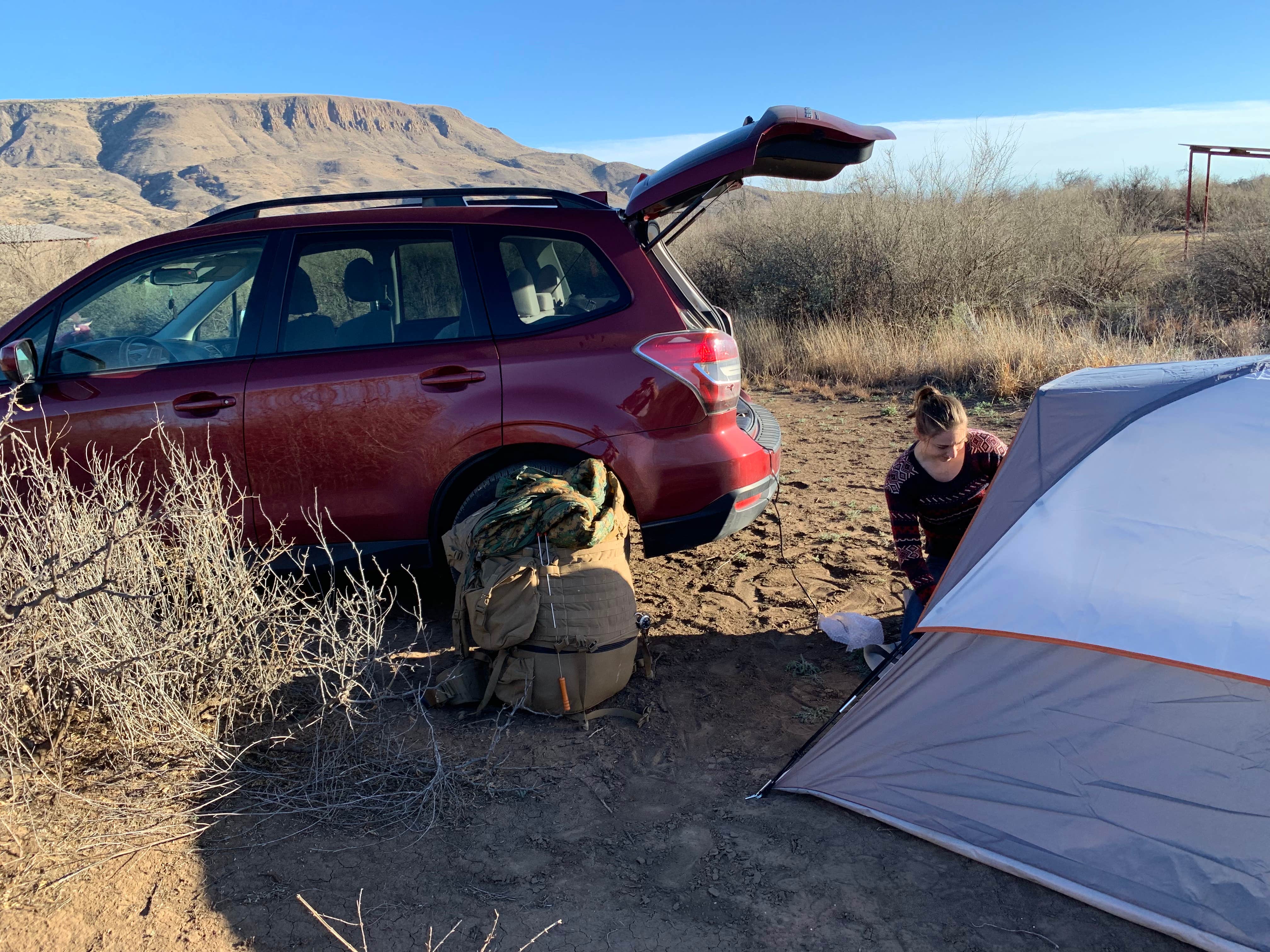Tim W.'s photo of a dispersed camping area at Elephant mountain WMA near Alpine, TX