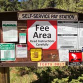 Review photo of Green Mountain by Hayley K., June 8, 2020