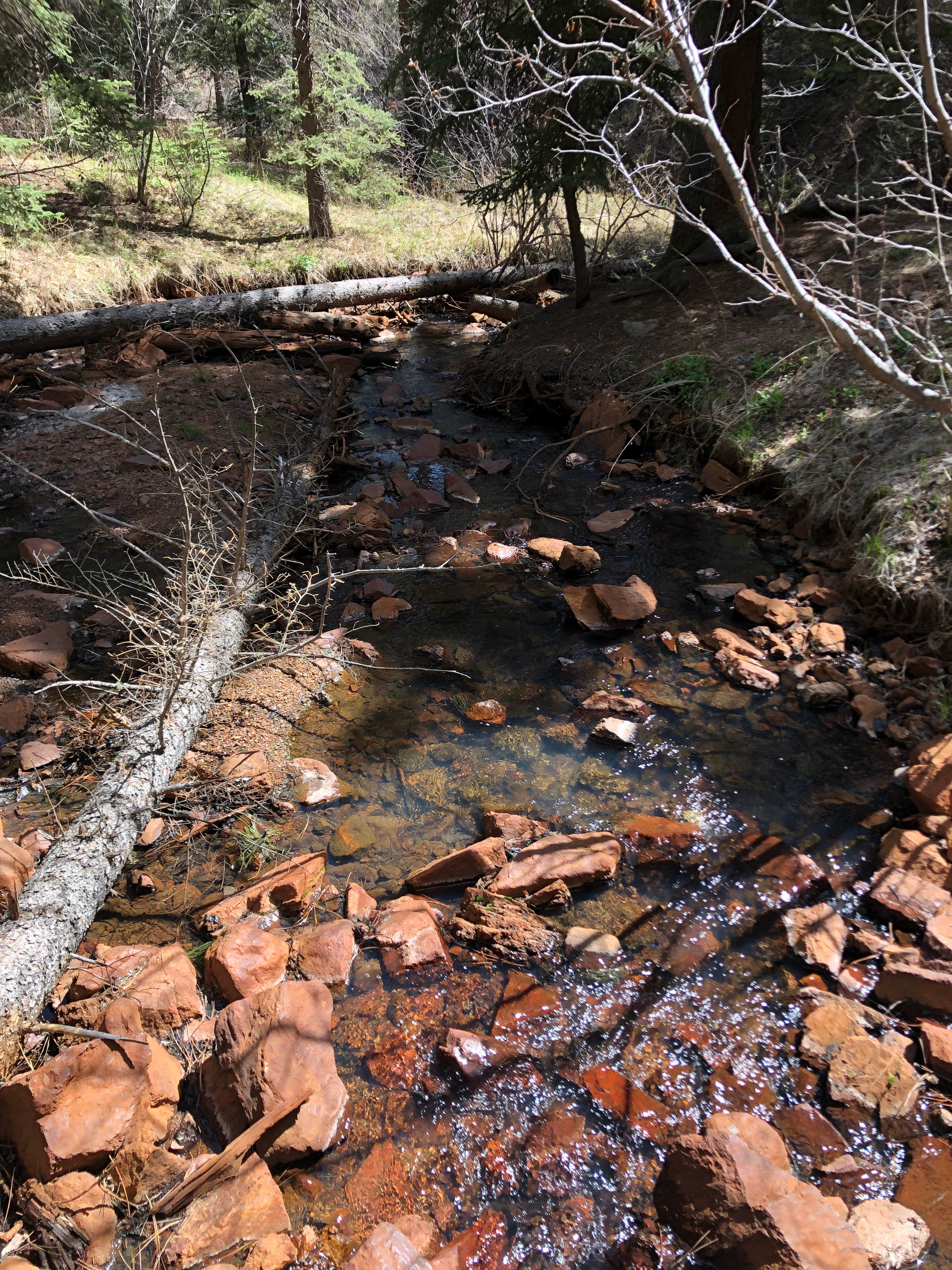 Camper-submitted photo at Green Mountain near Bailey, CO