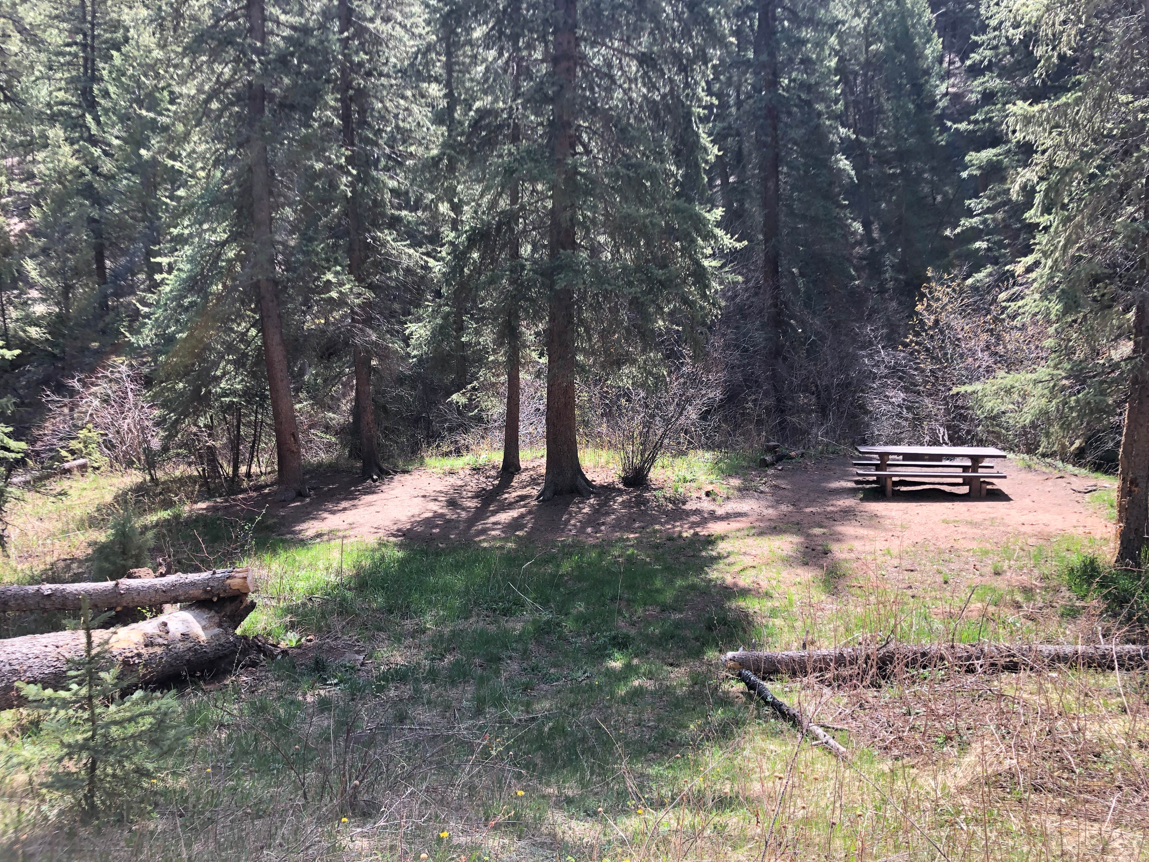 Camper-submitted photo at Green Mountain near Bailey, CO