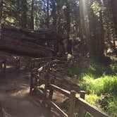 Review photo of Hermit Valley Campground by Daniel S., October 15, 2017