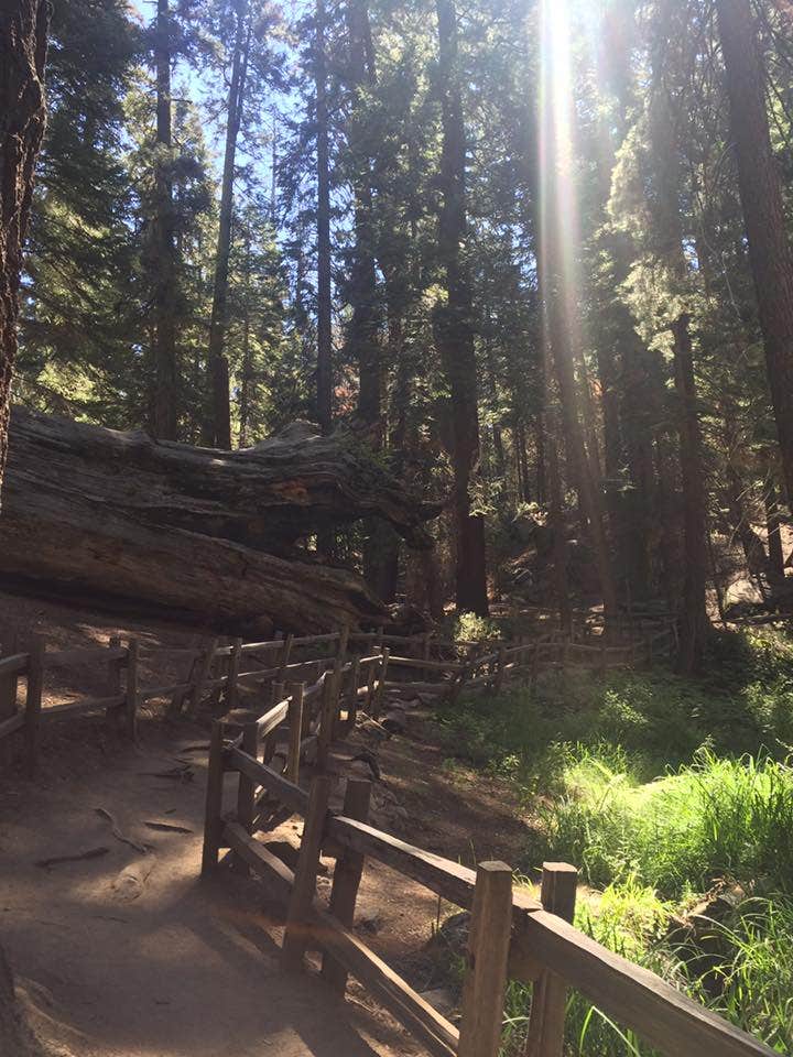 Camper submitted image from Hermit Valley Campground - 1