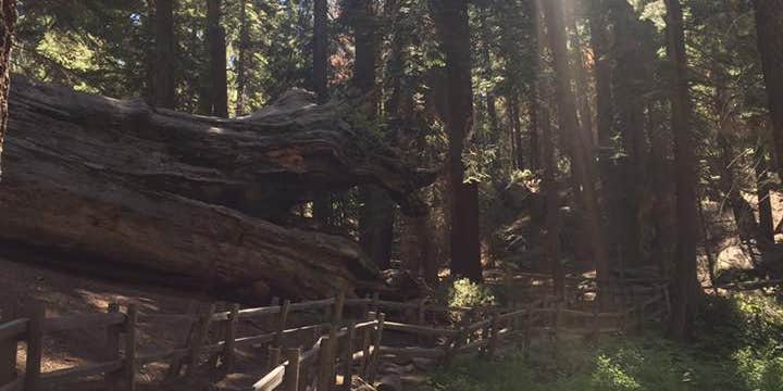 Camper submitted image from Hermit Valley Campground