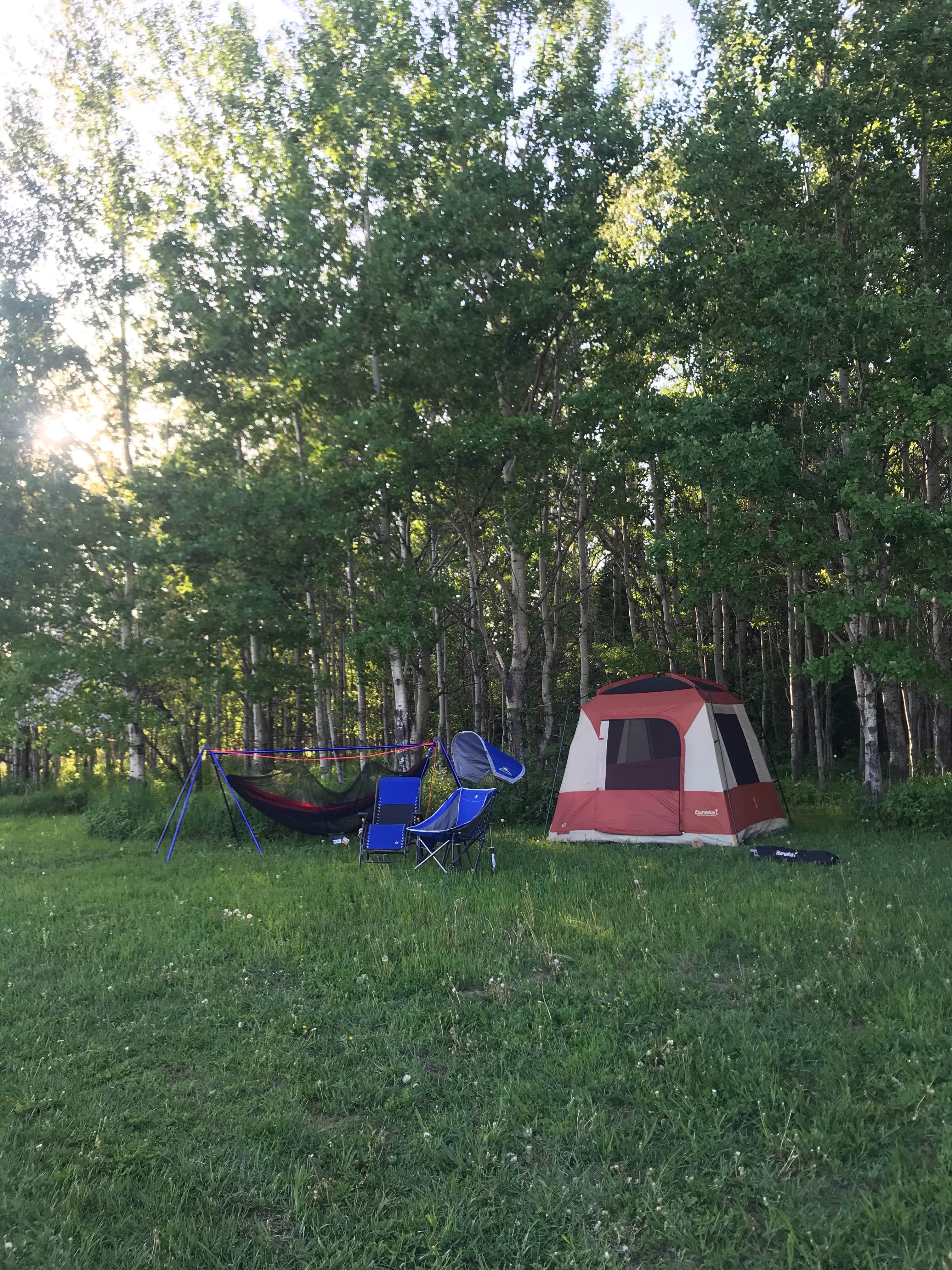 Krista T.'s photo of tent camping at Hungry Hippie Campground near Grand Marais, MN