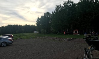 Camping near North Little Brule River, Superior Hiking Trail: Hungry Hippie Campground, Grand Marais, Minnesota