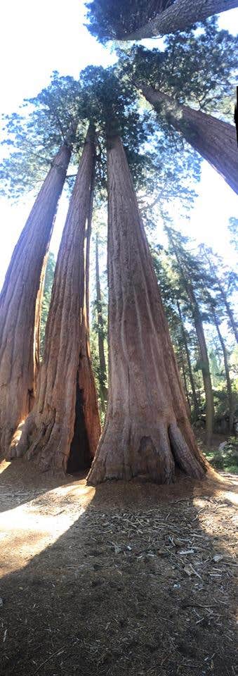 Camper-submitted photo at Hermit Valley Campground near Stanislaus National Forest