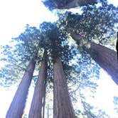 Review photo of Hermit Valley Campground by Daniel S., October 15, 2017