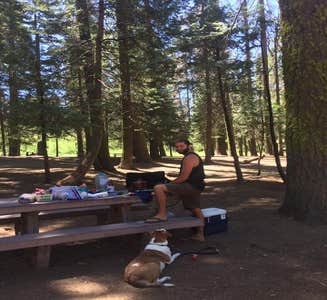 Camper-submitted photo from Hermit Valley Campground