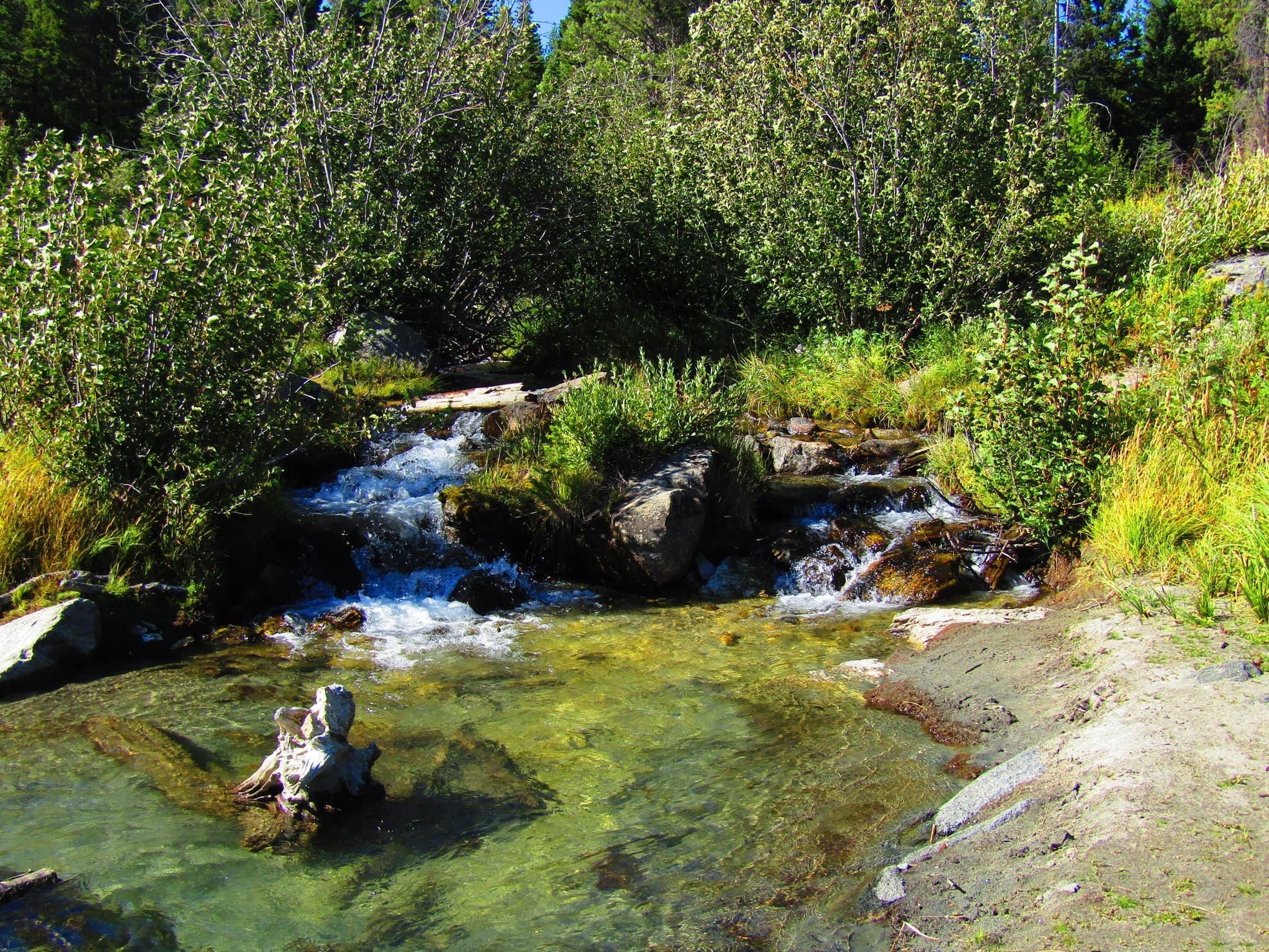 Bear Paw Lake Camping 