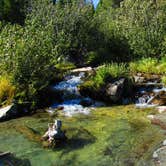 Review photo of Bear Paw Lake — Grand Teton National Park by Sarah C., June 9, 2020